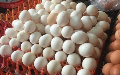 Mua trứng: Nên chọn quả to hay quả nhỏ? Người chăn nuôi tiết lộ đáp án