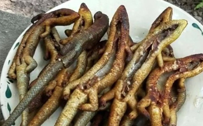 Đặc sản nhìn "sợ khiếp vía" xưa không dám ăn nay 350.000 đ/kg vẫn có người xuống tiền
