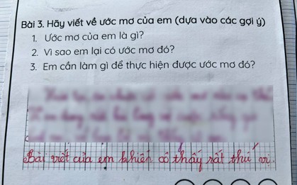Viết 2 câu về ƯỚC MƠ không giống ai, cậu bé TP.HCM được cô giáo khen nức nở: Cô thấy rất thú vị!