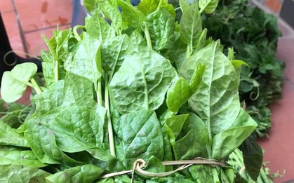 5 loại rau "bổ hơn thịt, rẻ hơn thuốc", bán đầy rẫy ở chợ Việt