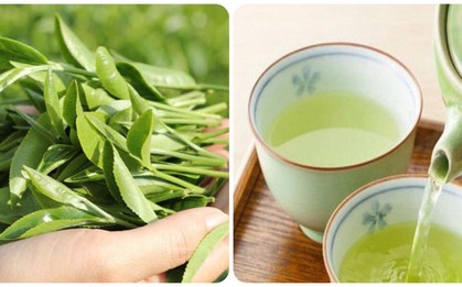 Thời điểm uống nước trà xanh tốt nhất cho sức khỏe