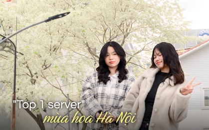 Cả Hà Nội phát sốt vì những cây hoa này: Chỗ đẹp như ngôn tình, nơi đã xác xơ - đi nhầm phí công vô ích!