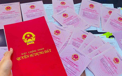 Chuyện lạ: Ngân hàng nhận thế chấp nhầm đất của người khác, buộc phải trả lại sổ đỏ