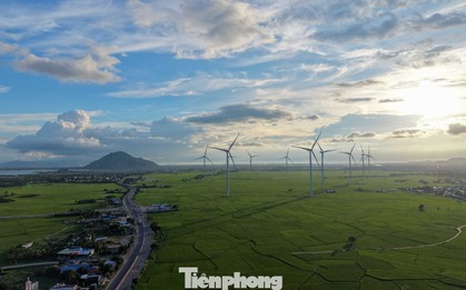 Đẹp lịm tim hoàng hôn ở cánh đồng điện gió