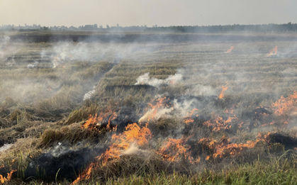 Chồng bàng hoàng phát hiện thi thể vợ trong đám cháy giữa đồng ở Cần Thơ