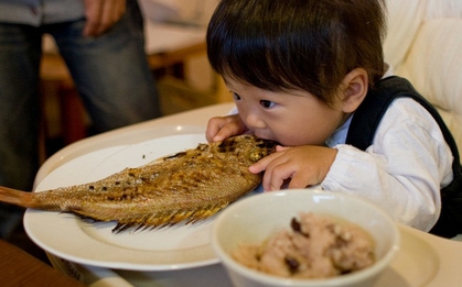 Những loại cá có nguy cơ chứa nhiều kim loại nặng cao, trẻ nhỏ nên hạn chế ăn