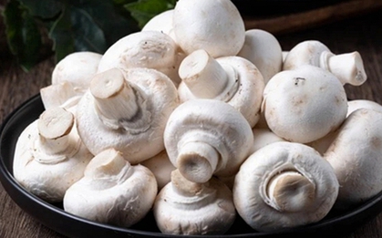 Giàu kali gấp hàng chục lần chuối, loại nấm giá rẻ giúp nhuận tràng, bổ gan, giảm mệt mỏi và tăng miễn dịch đang vào mùa