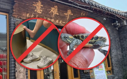 Quán cà phê càng nhiều quy định cấm, càng khiến thực khách thích thú