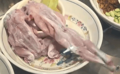 Ếch bị làm thịt vẫn cử động trên đĩa khiến người xem sợ hãi