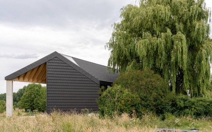 5 loại cây không nên trồng trước cửa nhà, vừa ảnh hưởng phong thủy lại có thể gây hại cho gia chủ