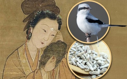 Vì sao Từ Hi Thái hậu sử dụng phân động vật để làm đẹp?