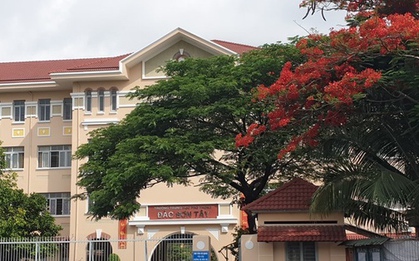 NÓNG: Nhiều trường học TPHCM cảnh báo khẩn lừa đảo suất "bao đậu", "tuyển thẳng" mùa tuyển sinh