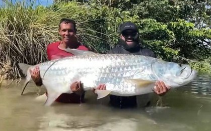 Ngư dân câu được con cá khổng lồ dài 1,89 mét trên sông