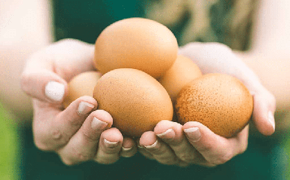 Ăn trứng mỗi ngày có làm tăng mỡ máu? Bác sĩ nói rõ sự thật nhiều người hiểu sai