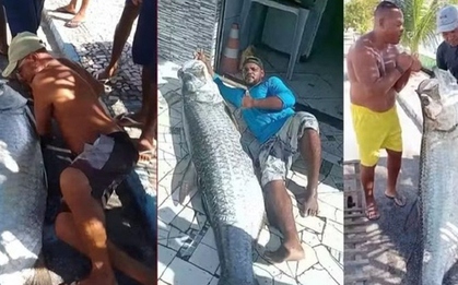 Ngư dân bắt được con cá khổng lồ dài 1,9m và nặng 120kg