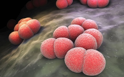 Thêm 2 ca mắc viêm não mô cầu, 1 trẻ tử vong: Cảnh báo nóng người dân cần làm ngay 1 việc