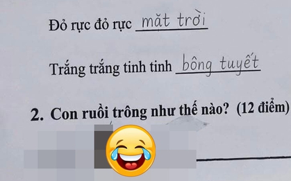 Bài văn tả con ruồi của một học sinh khiến dân tình cười vỡ bụng: Rất MẤT VỆ SINH nhưng đúng với thực tế!