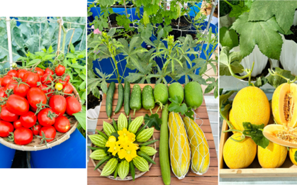 Sự thật về người phụ nữ Đồng Nai nhiều năm "không bước chân ra chợ", bí mật nằm ở tầng 3