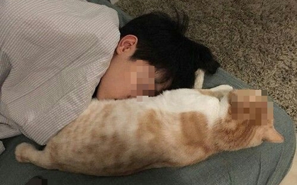 Cậu bé 14 tuổi "gần như mù lòa" sau 1 năm ngủ chung với chó mèo, bác sĩ: "Bệnh này không chữa được"