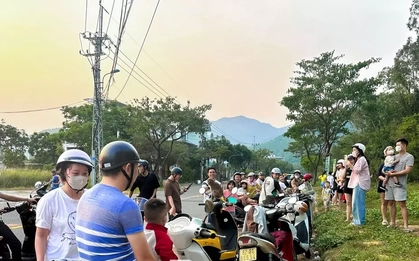 Du khách 'làm hư' đàn khỉ ở bán đảo Sơn Trà