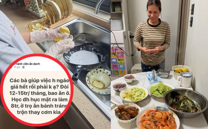 "Các bà giúp việc ngáo giá phải không ạ? Đòi 12 - 15 triệu bao ăn ở trong khi đại học ra đi làm lương 8 triệu"