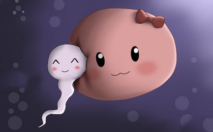 Nam giới nên ăn gì khi chuẩn bị có con? 3 nhóm thực phẩm giúp cải thiện chất lượng tinh binh