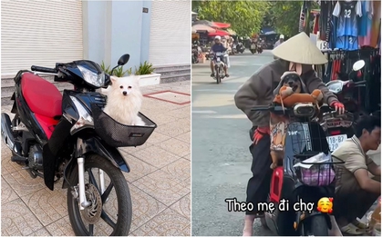 Ở Việt Nam có một con vật được gọi là “cục dzàng", người nước ngoài phải quay vlog vì "về nước kể sợ không ai tin"