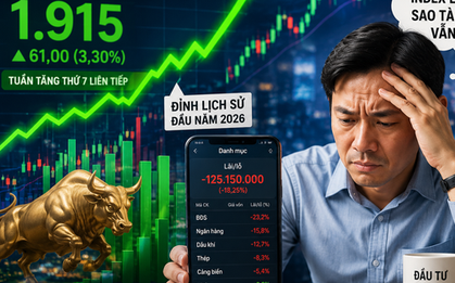 VN-Index vượt đỉnh lịch sử, tưởng ai cũng thắng lớn nhưng thực tế lại rất khác!