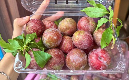 Điều gì xảy ra khi bạn ăn quá nhiều quả mận? Bác sĩ dinh dưỡng nhắc: 4 kiểu người này phải cực kỳ cẩn thận!