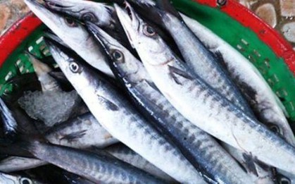 Loại cá nhọn hoắt có tên cực lạ, gây "nghiện" bởi vị đậm tự nhiên hiếm có