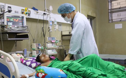 Một học sinh lớp 4 được gia đình đưa đến bệnh viện trong tình trạng nguy kịch sau khi bị ong đốt
