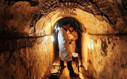 Khai quật mộ cổ 500 năm, chuyên gia bất ngờ khi thấy "quái thú" sống bên trong: Nó đã ở đó từ bao giờ?