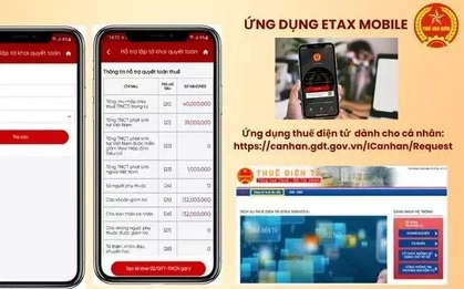 Hơn 95% hồ sơ hoàn thuế tự động, vì sao tiền chưa về tài khoản?