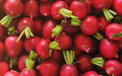 Loại củ được ví như “nhân sâm của người nghèo”, cứ ra chợ là thấy