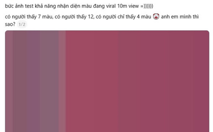 “Bức ảnh đếm màu đang viral với 10 triệu view”: Đáp án cuối cùng là gì?