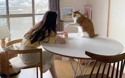 30 tuổi chưa mua được nhà, có lẽ tôi chỉ đủ sức nuôi nổi bản thân