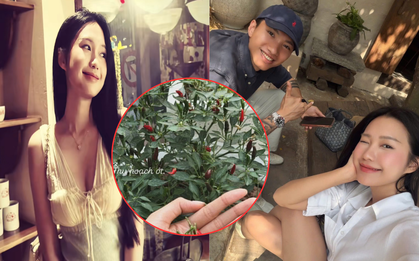Doãn Hải My làm vợ Văn Hậu: Sáng học thạc sĩ, chiều về hái ớt chăm hoa, thế này ai còn thương hại nữa không?