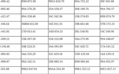 699 chủ phương tiện vi phạm mang biển số sau khẩn trương nộp phạt nguội theo Nghị định 168