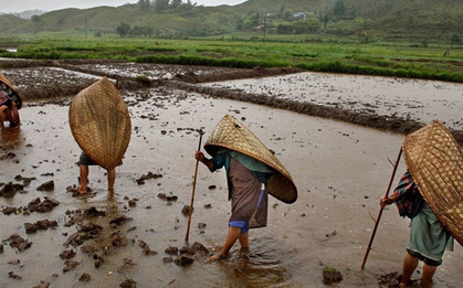 Bí ẩn ngôi làng mưa nhiều nhất thế giới: Cả năm không khô nổi một ngày