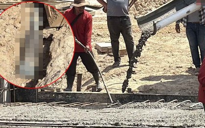 Đang đứng cạnh xe trộn bê tông, thợ hồ bỗng phát hiện thứ rơi ra bên dưới: Vừa nhìn kỹ đã vội tháo chạy