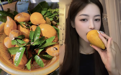 Quả trứng gà rụng đầy gốc ở Việt Nam, sang nước ngoài thành hàng hiếm, bán hơn 1 triệu đồng vẫn có người mua