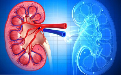 Những người có thận yếu thường có 10 dấu hiệu này trên cơ thể: Hãy kiểm tra ngay!