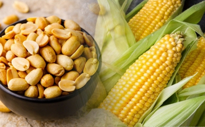 10 nguyên liệu quen mặt trong gian bếp Việt dễ nhiễm Aflatoxin nhất, dù có nấu chín cũng không hết độc