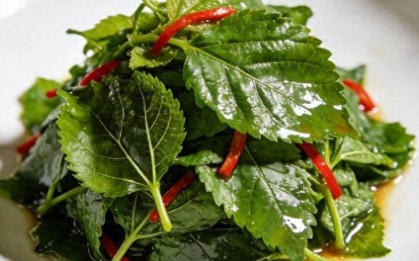 Loại lá bệnh tiểu đường rất sợ: Bổ như sâm, dưỡng sáng mắt, khỏe gan, tốt sức khỏe đủ đường