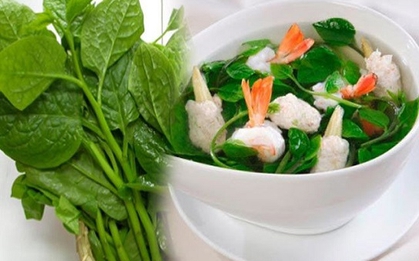 Mùa hè ra chợ cứ mua ngay 4 loại rau này về nấu: Vừa giúp giải nhiệt, tăng miễn dịch, lại còn vô cùng kinh tế