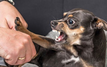 Người phụ nữ sợ gió, sợ nước, tử vong ở Đồng Nai