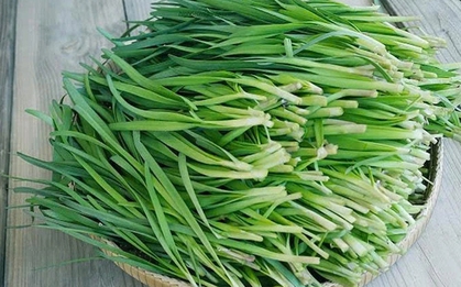 Những tác dụng của lá hẹ với sức khỏe ít người biết