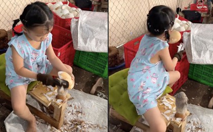 Em bé thoăn thoắt gọt dừa, dân mạng khen "ai bảo khối nghỉ hè chỉ toàn báo thủ"