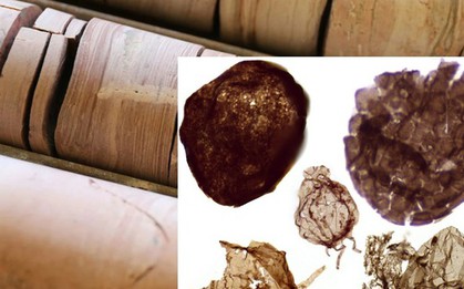 Đào mỏ, loạt sinh vật từ thế giới 1,7 tỉ năm trước lộ diện