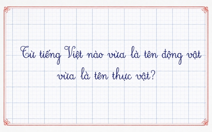 Trong tiếng Việt có một từ vừa là tên động vật vừa là tên thực vật